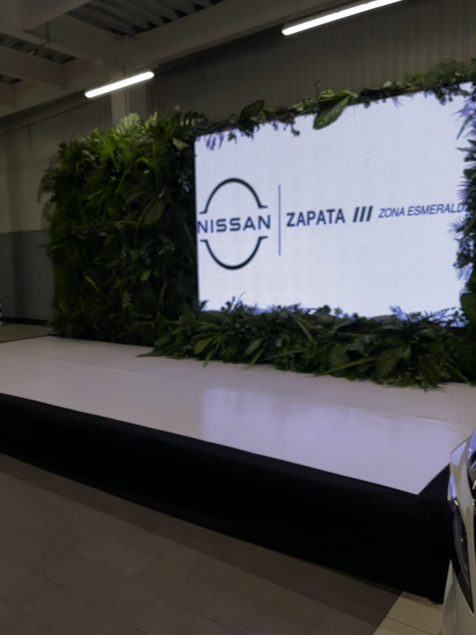 Nissan Zapata, Zona Esmeralda